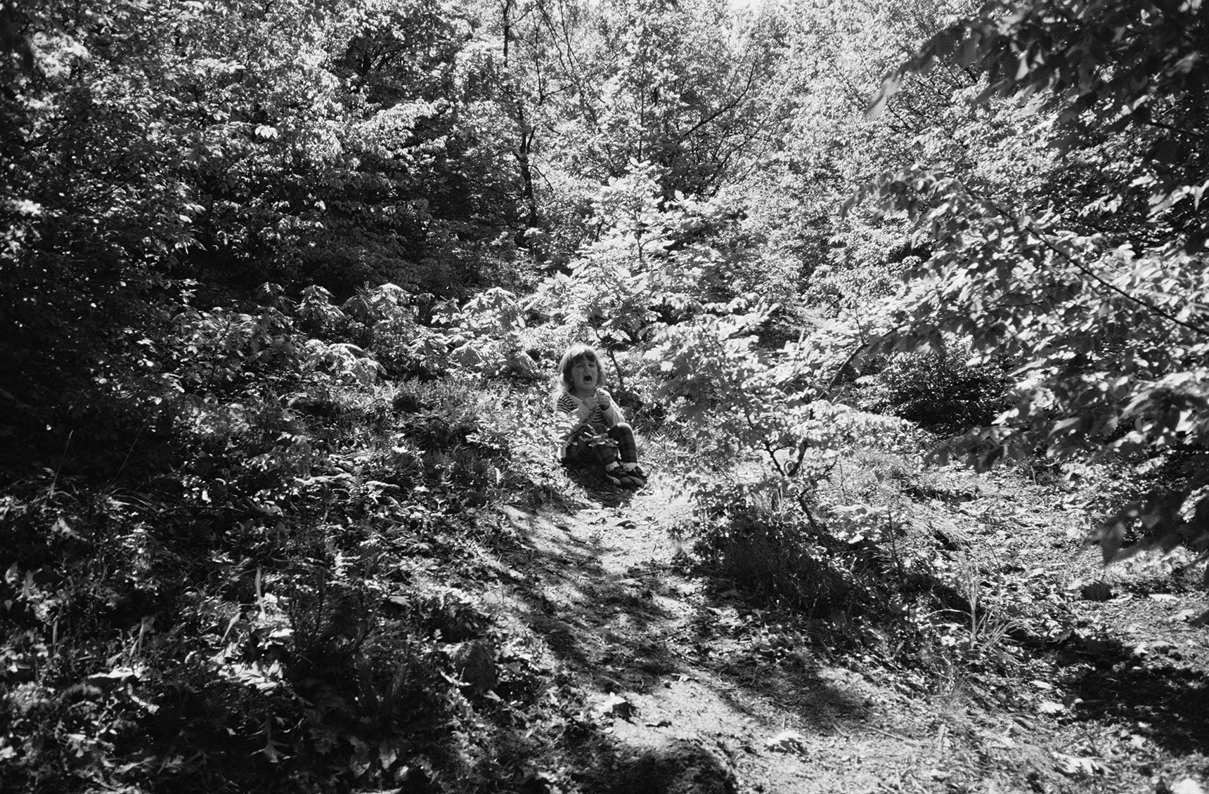 Untitled, 2011