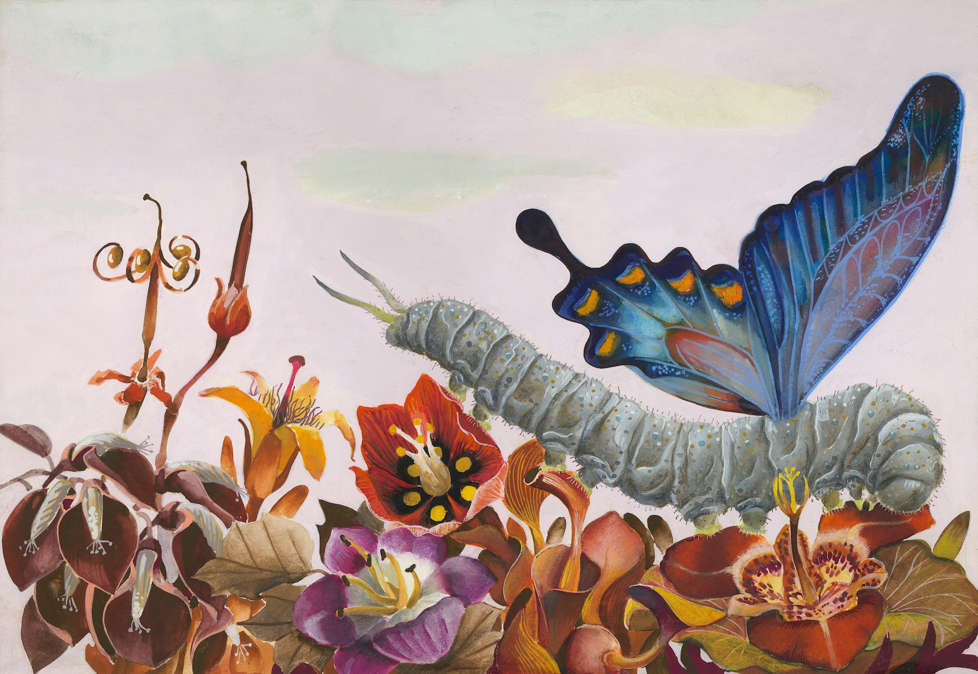 The blue butterflies, 1980