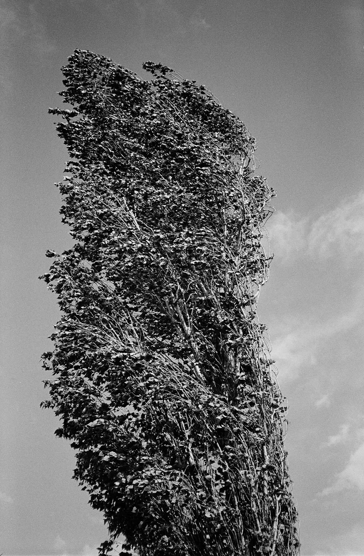 Untitled, 2011