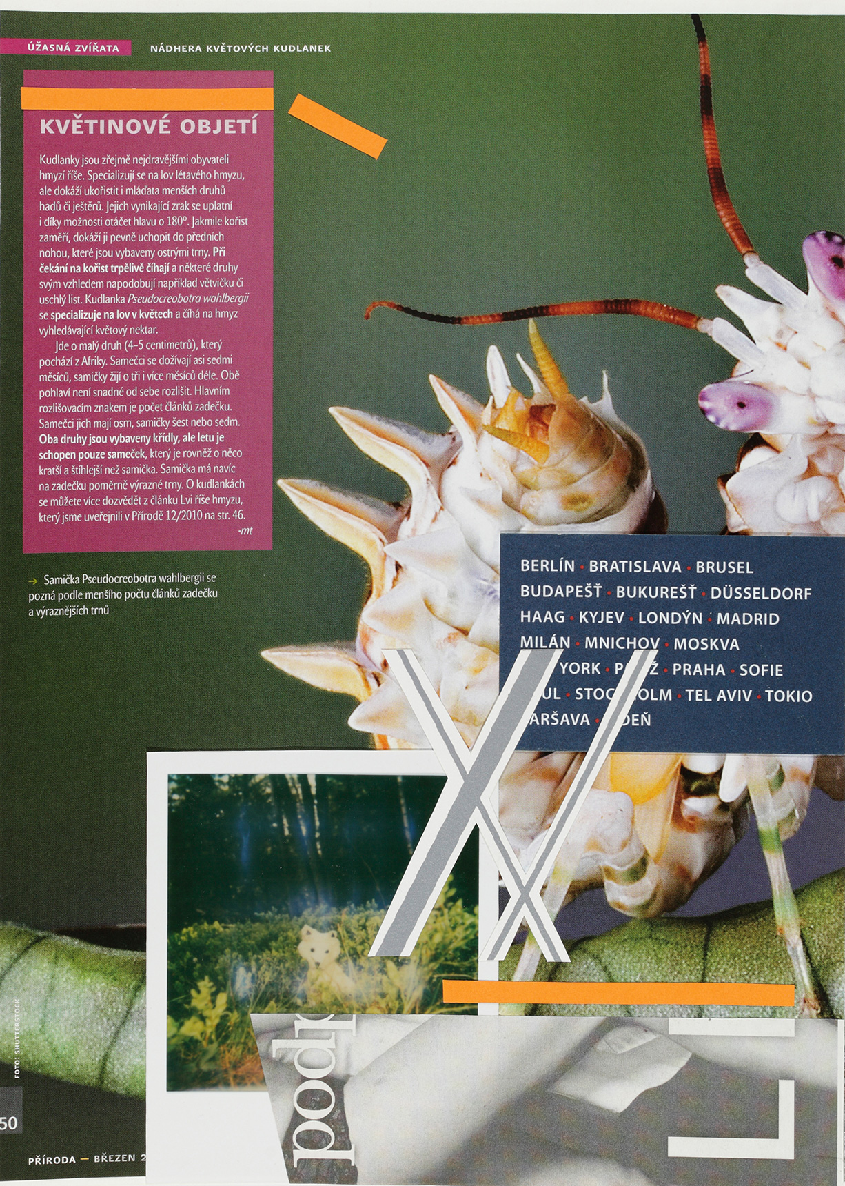 Untitled (Květinové objetí), 2014