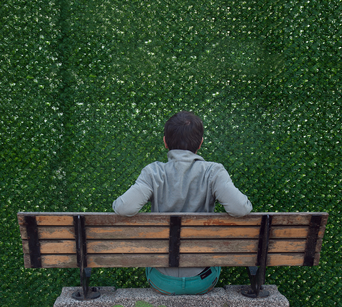 Looking Through the Fence, 2017