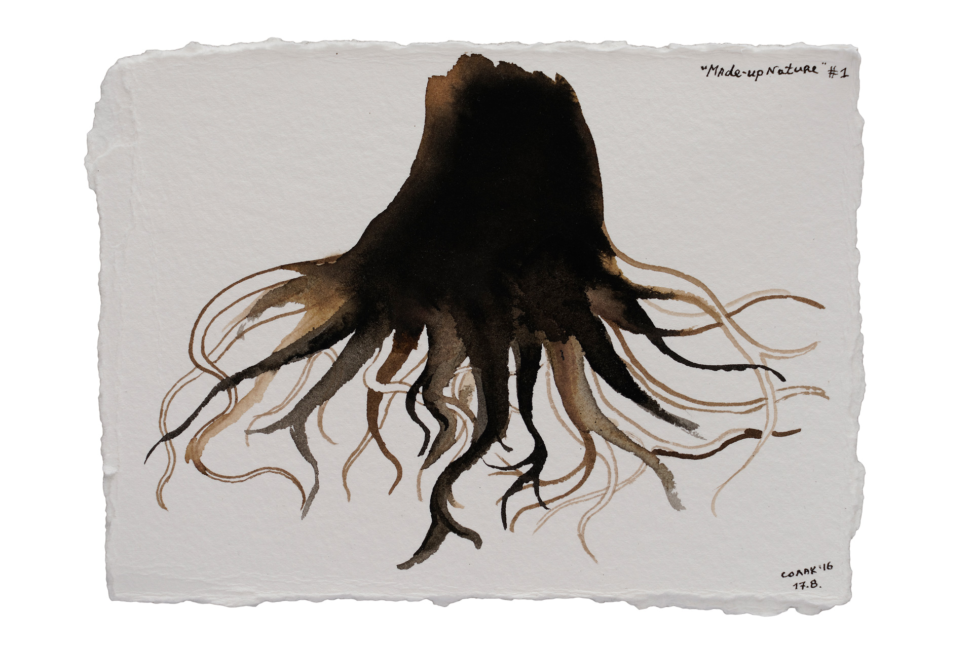 Made-up Nature #1, 2016