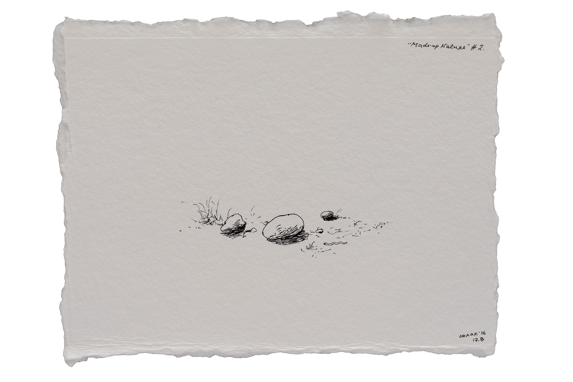 Made-up Nature #2, 2016