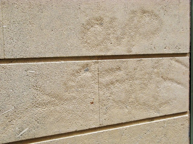 From the series Non-Works