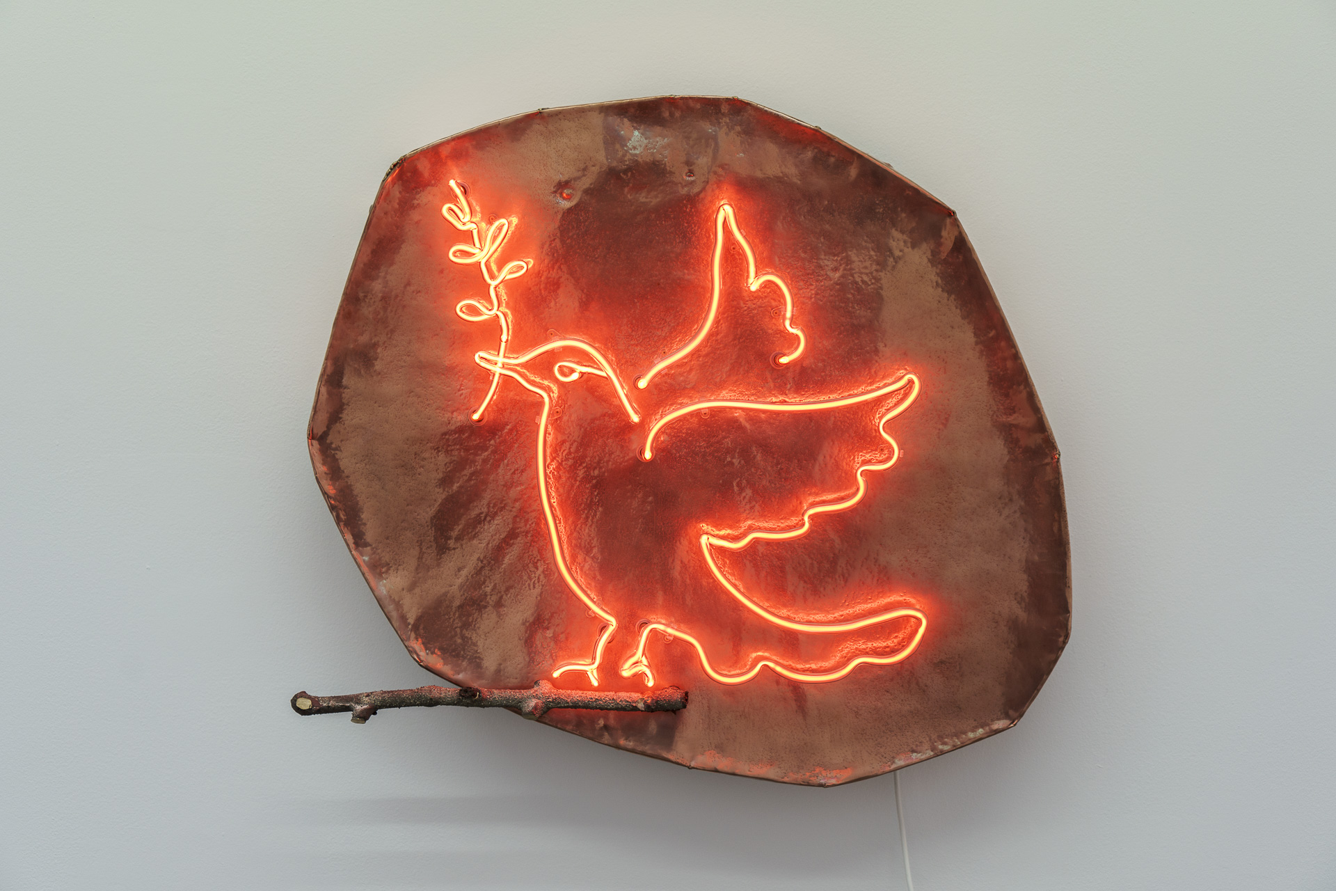 Dove, 2019