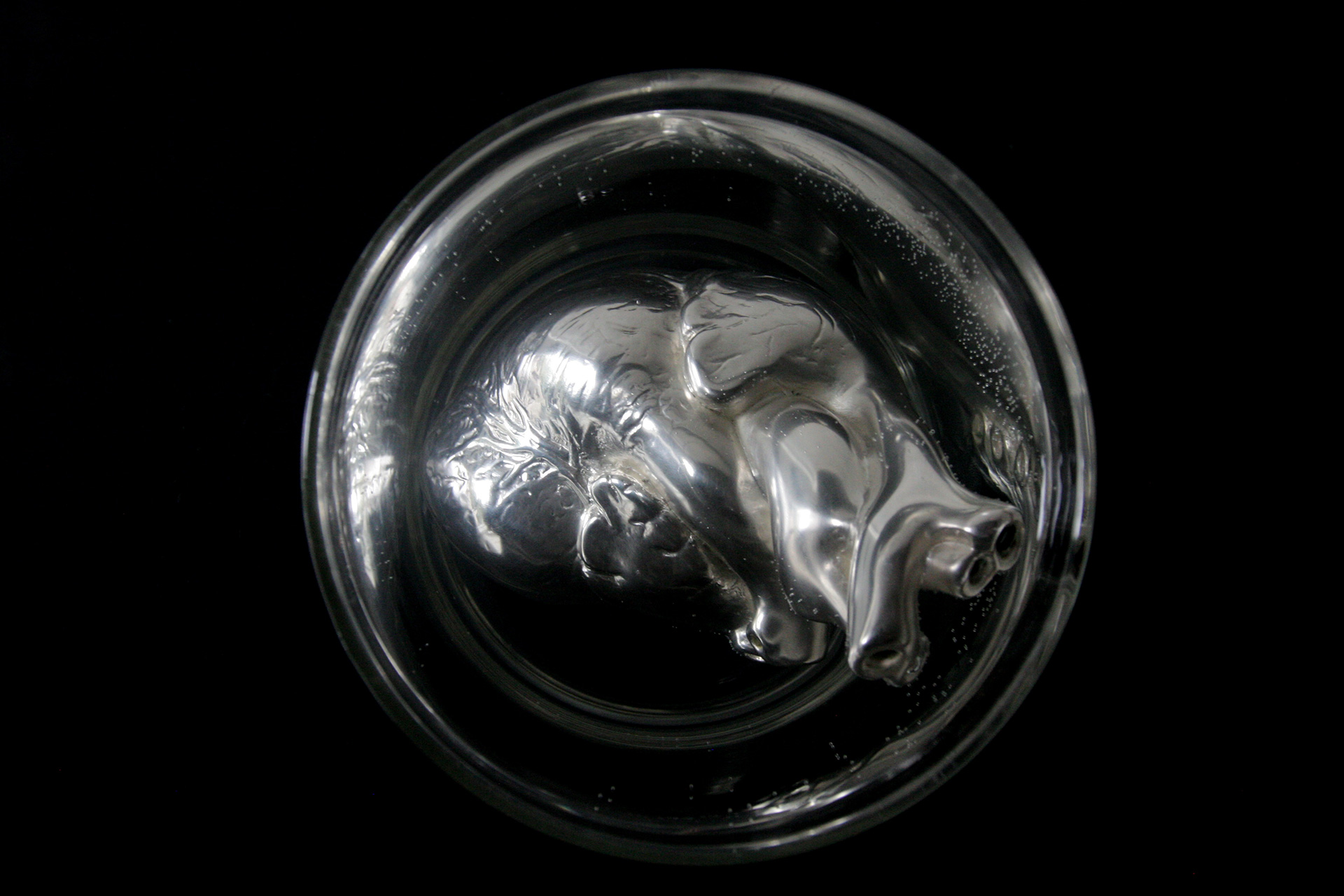 Some things are more precious than other, 2009
