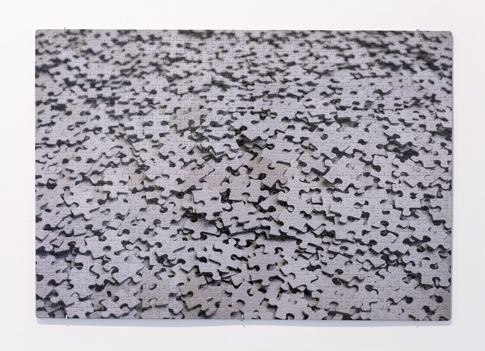 Puzzled puzzle, 2011