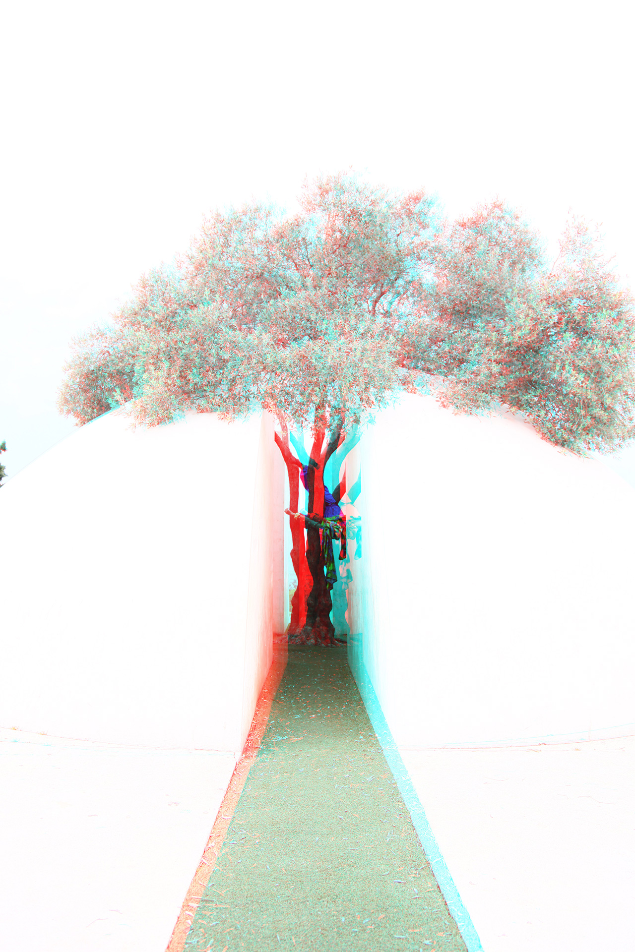Tree with a fish, 2012