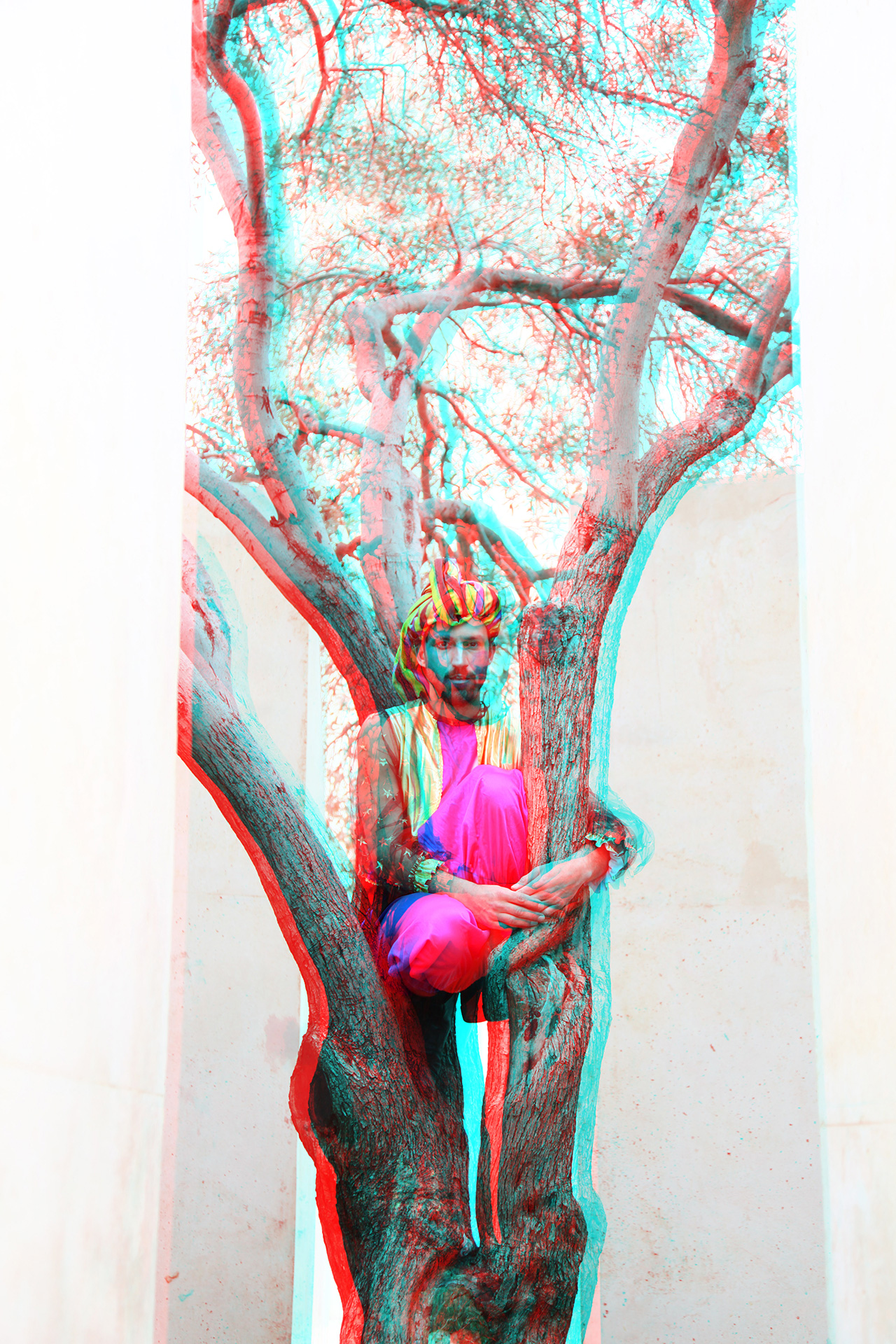 The Treeman, 2012