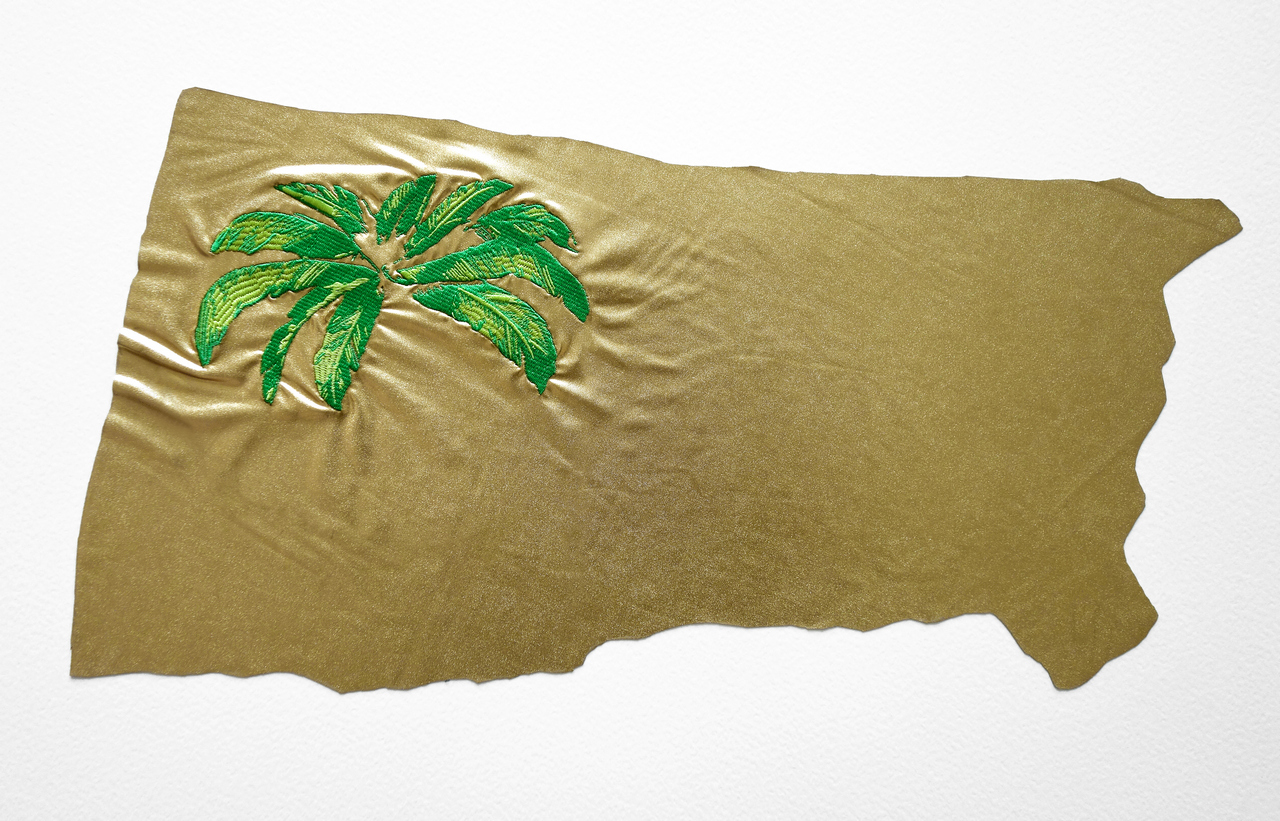 New-found flag for a missing country, 2018