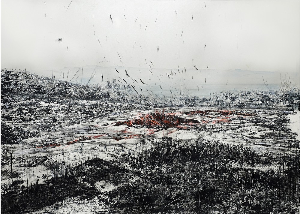 Scar Field, 2017