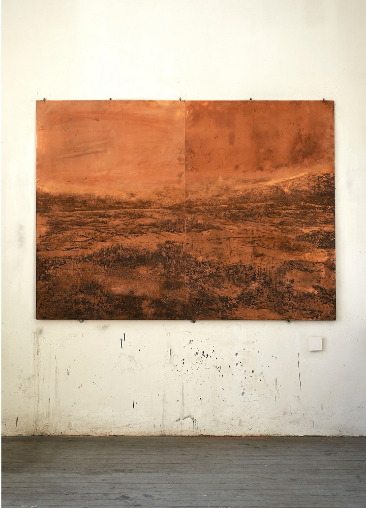 Scar Field, 2017