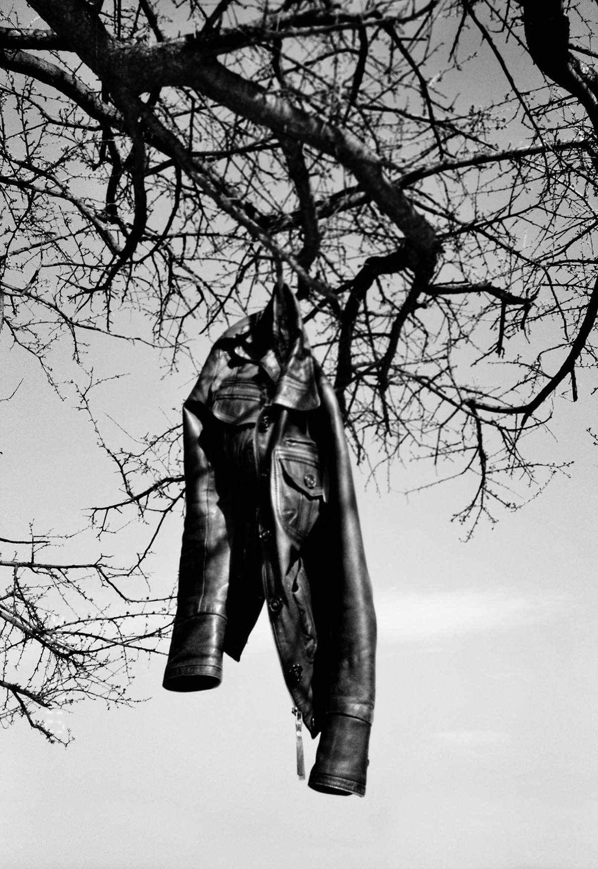 Untitled, 2011