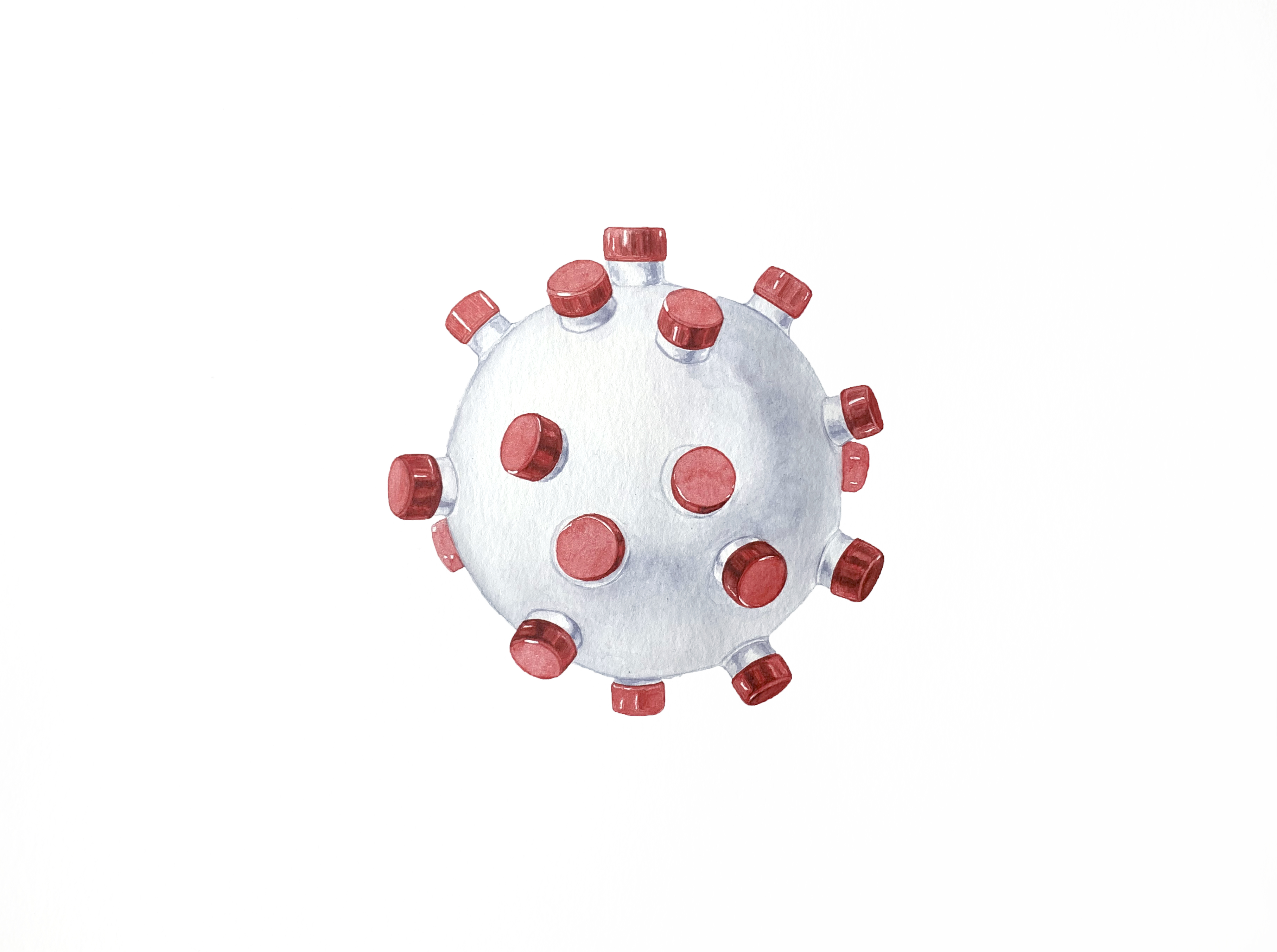 Placebo for Anti-vaxxers, 2020