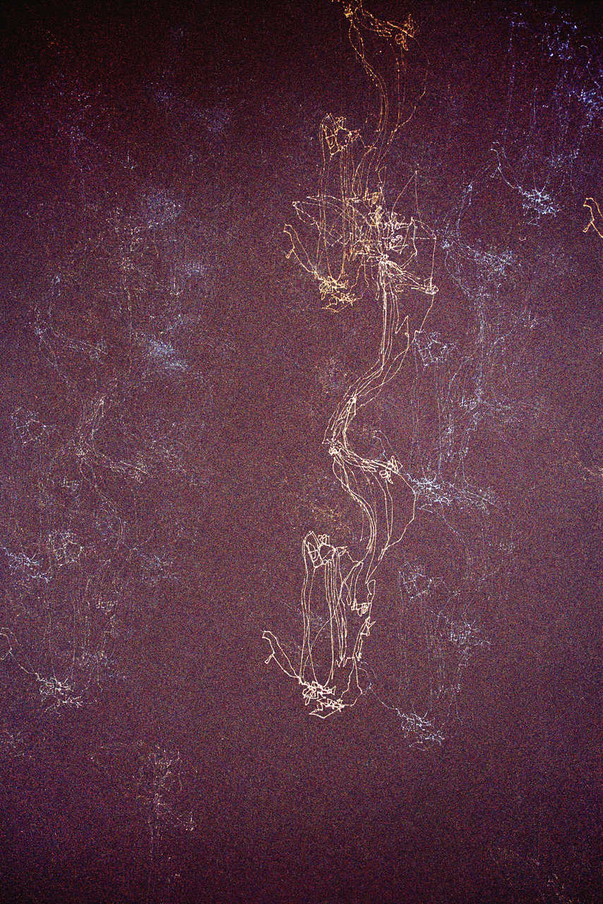 STERNENSCHRIFT (7.8.2012, 10 km walk), 2014
