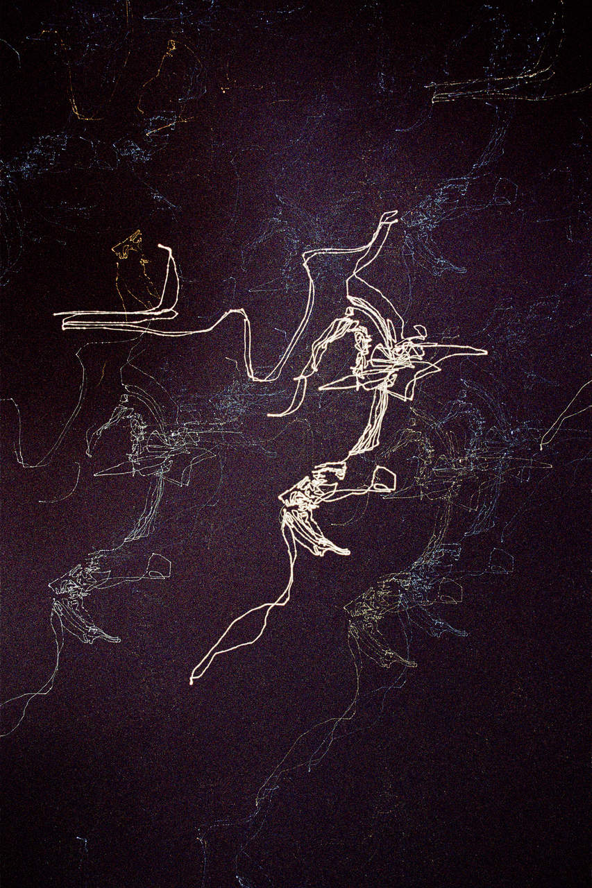 STERNENSCHRIFT (14.8.2012, 12.1 km walk), 2014