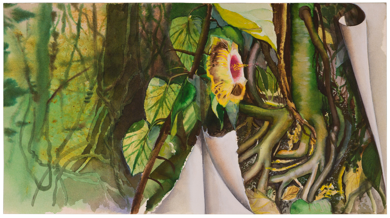 In the Amazon jungles, 1987
