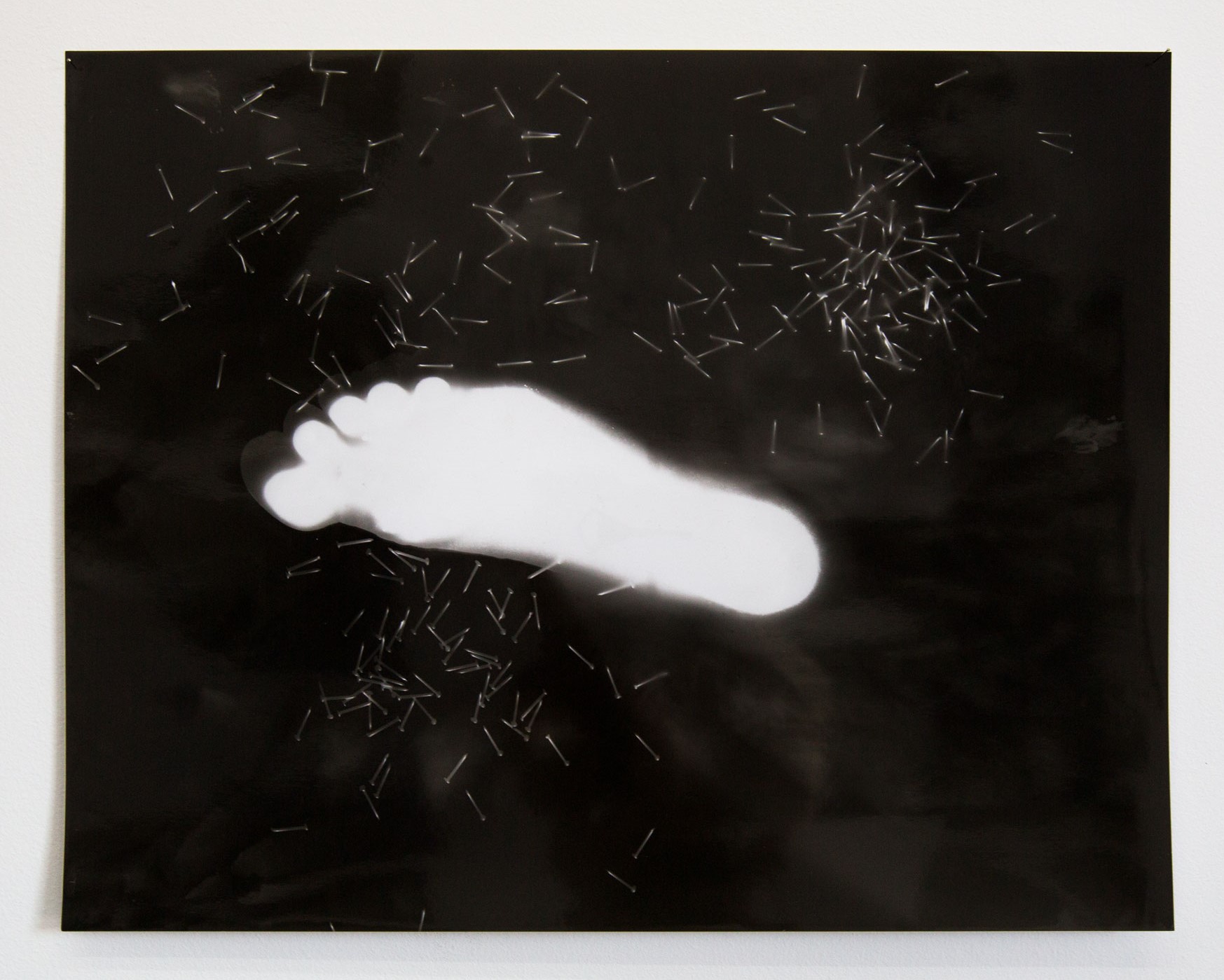 Photogram portraits of collective state of mind, 2018