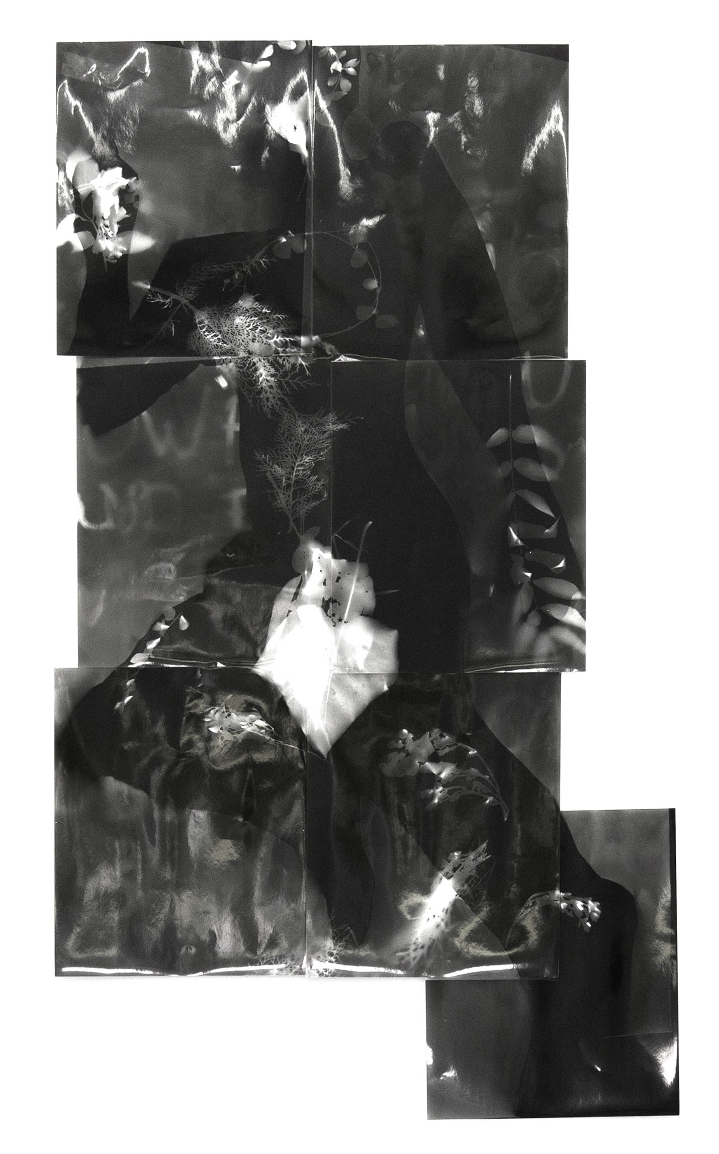 Bodygram, 2018