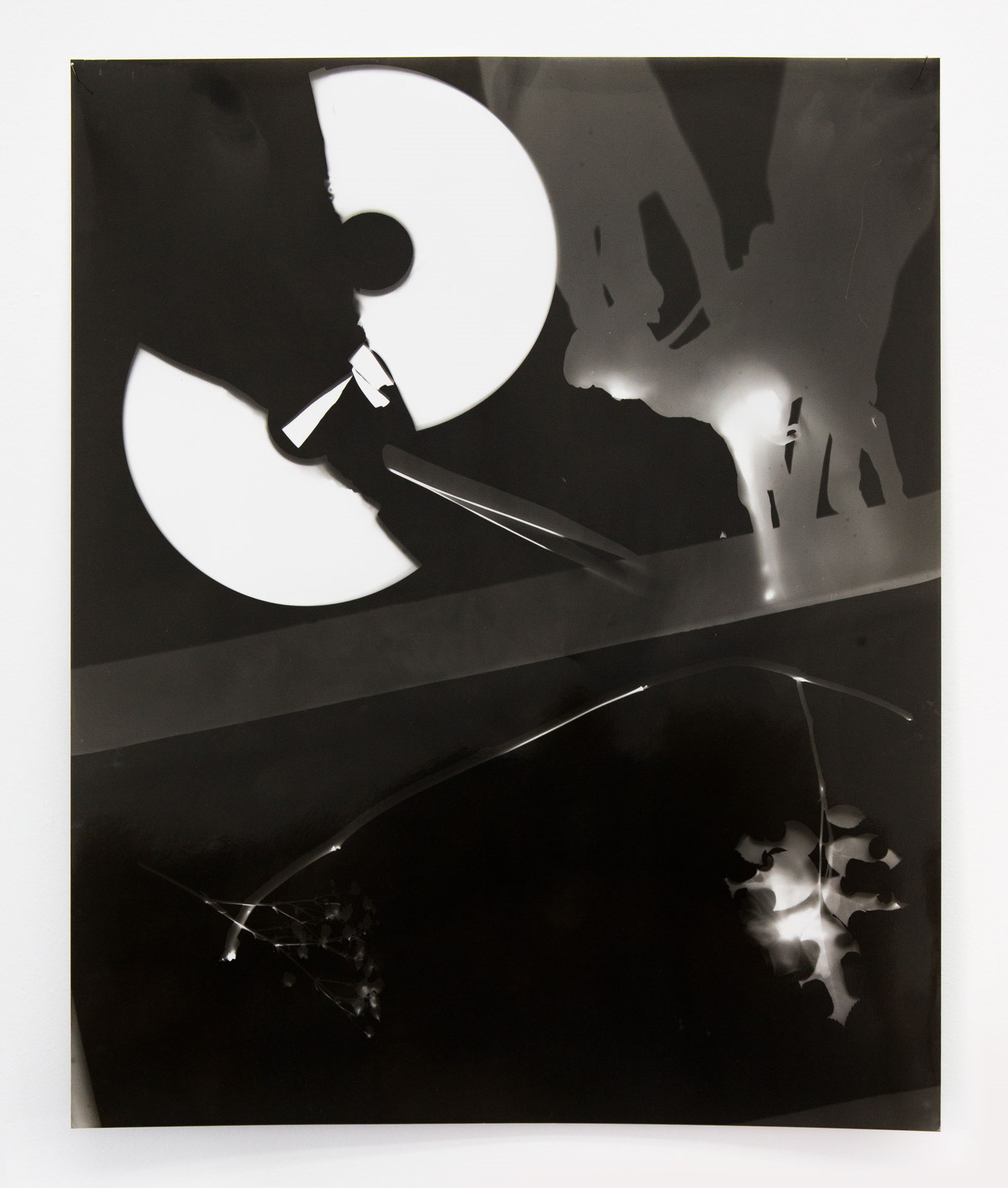 Photogram portraits of collective state of mind, 2018