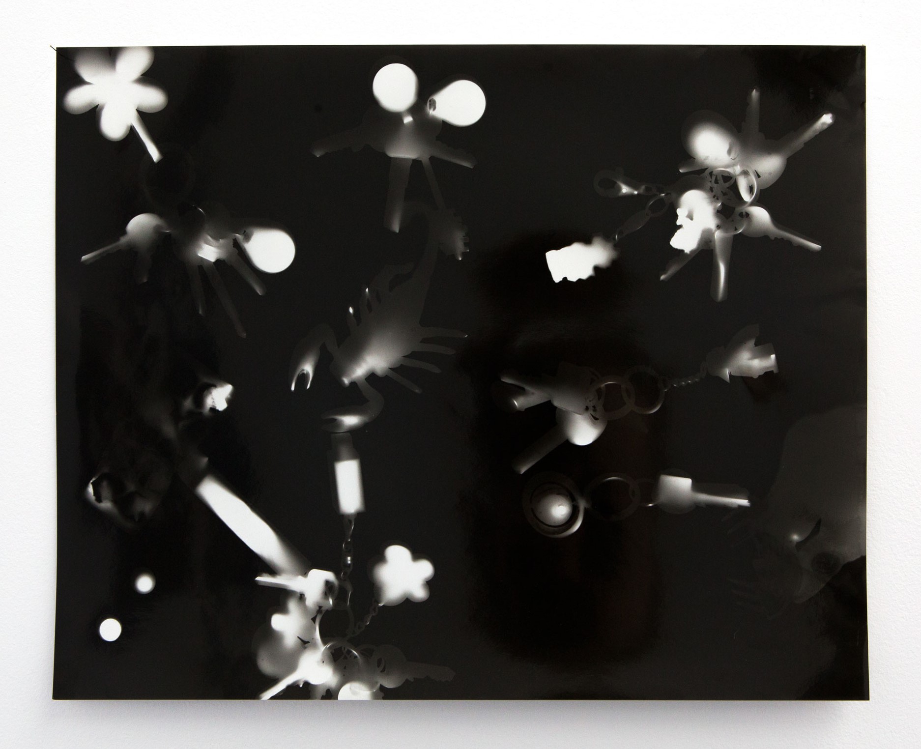 Photogram portraits of collective state of mind, 2018