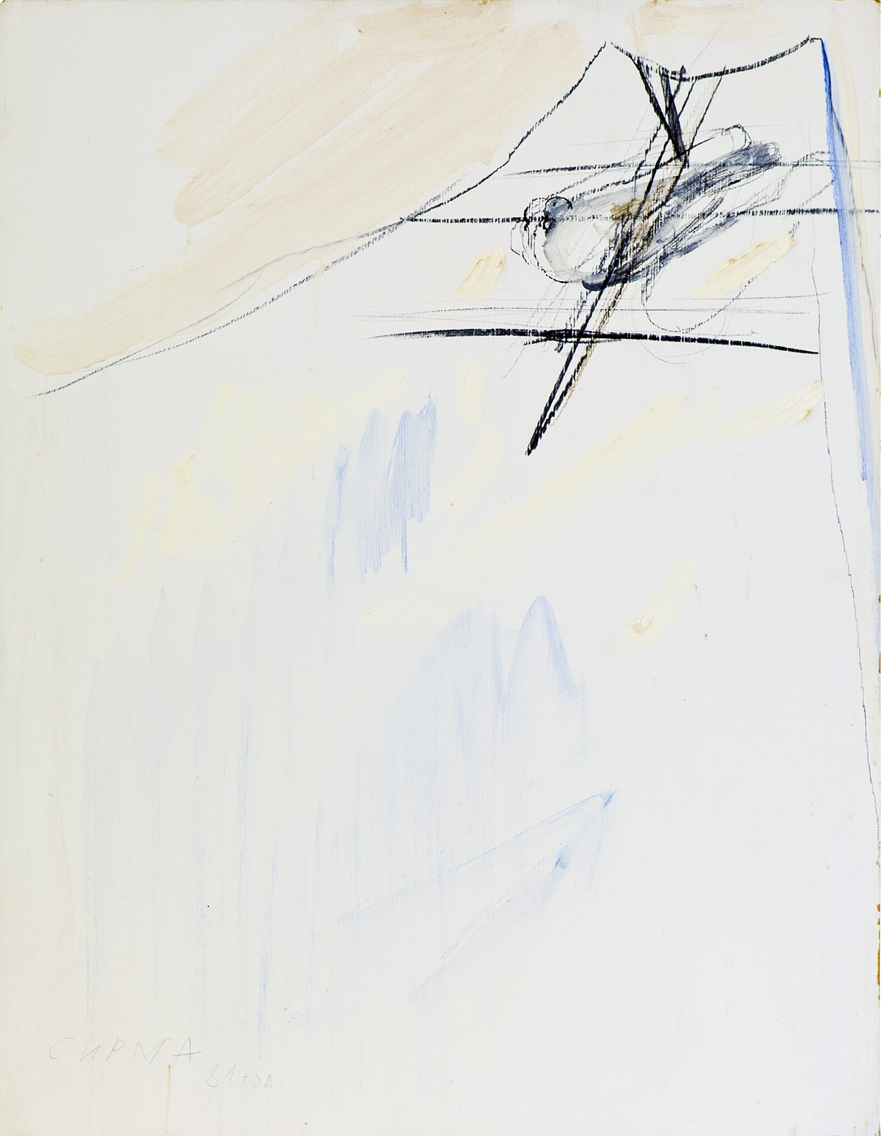 Dove, 1981