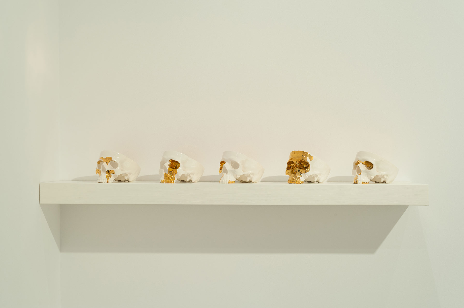 What Does Not Kill You Makes You Stronger, 2013