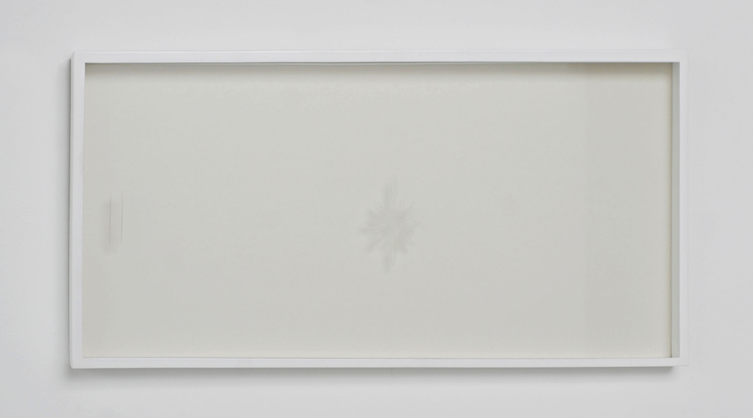 Vitrine, 2012