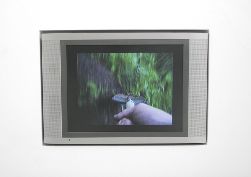 Artifact, 2012