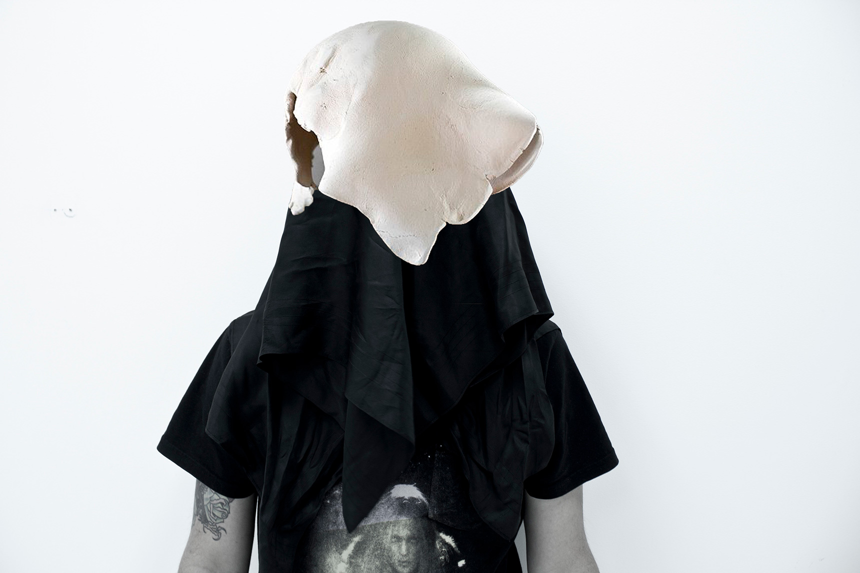 Fosfolit, 2015