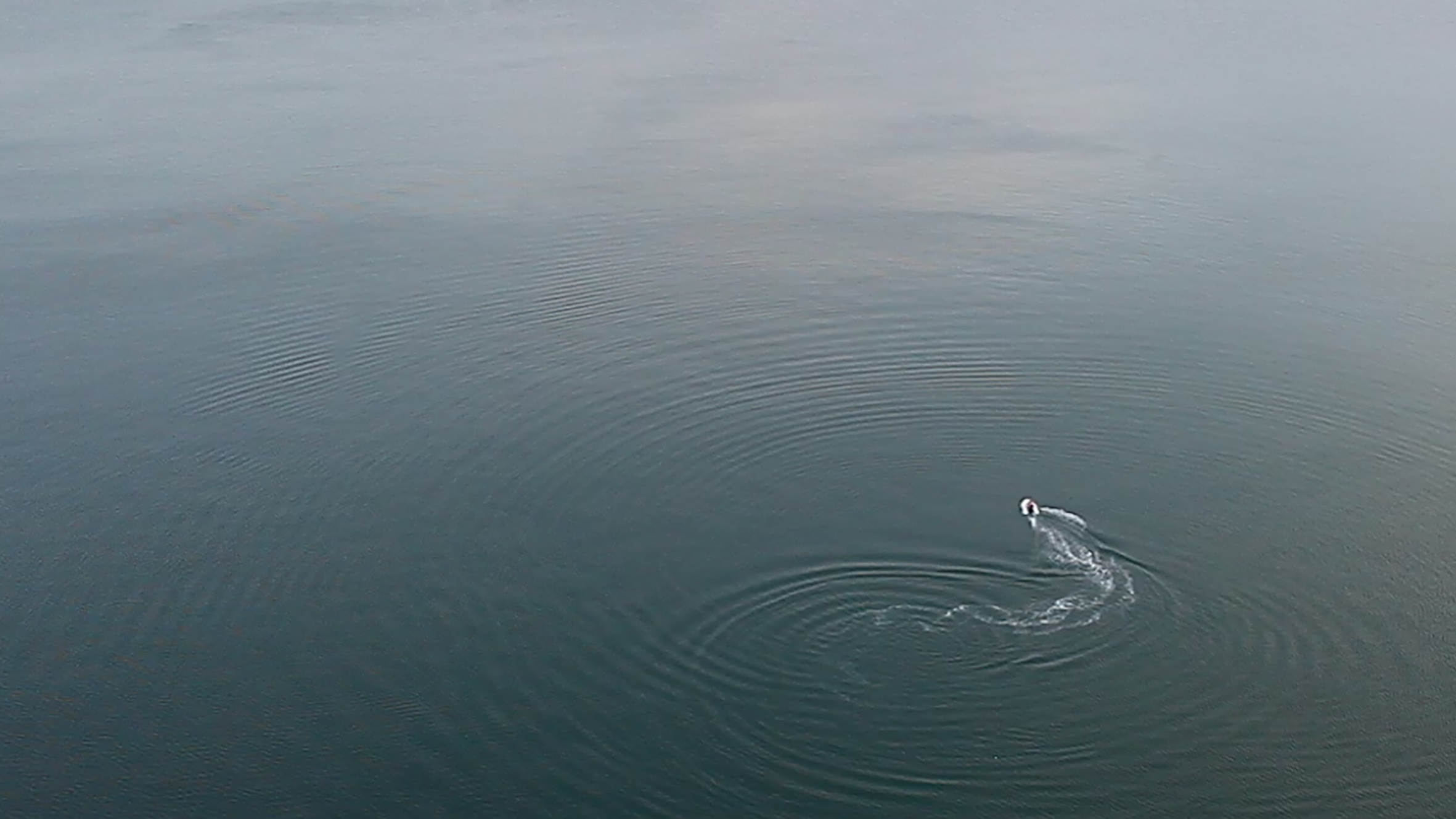 Impossible, 2015