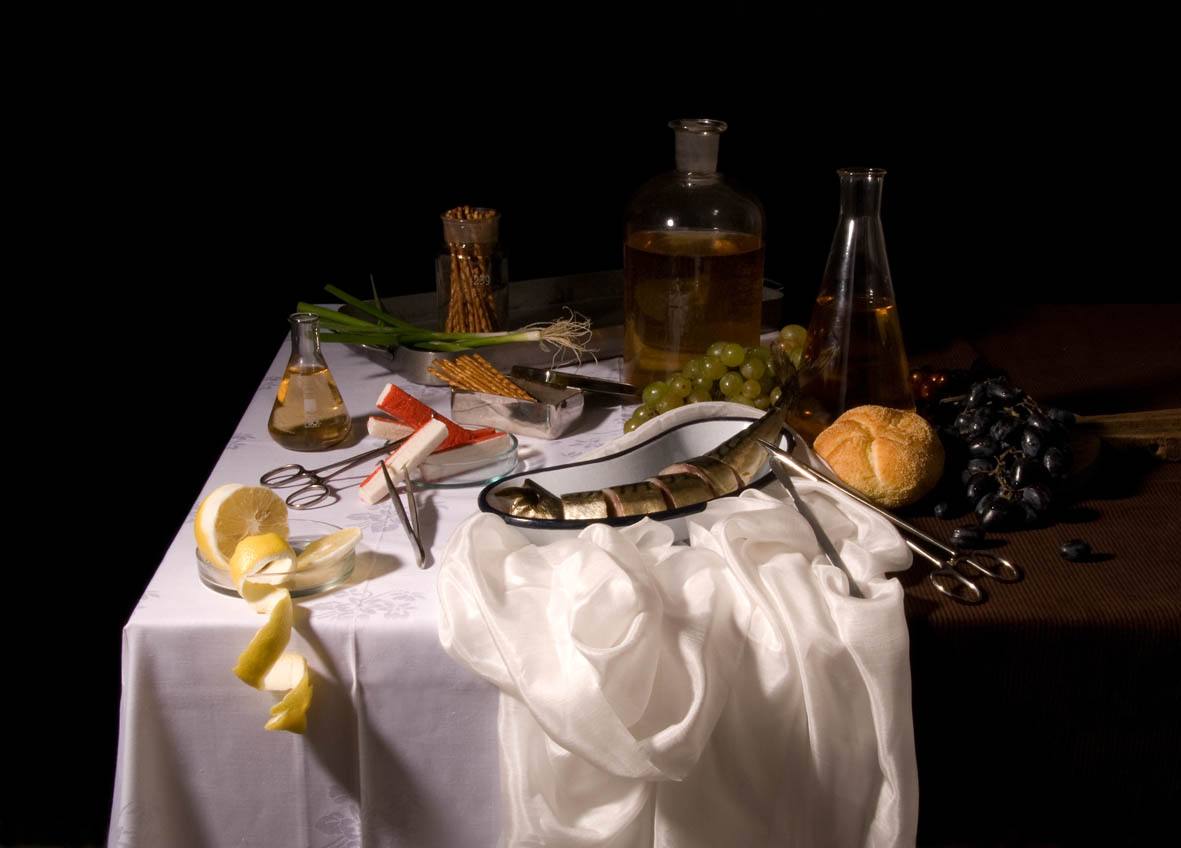 Natures Mortes - Herring, 2010