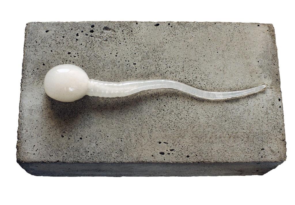 No Name, 2004
